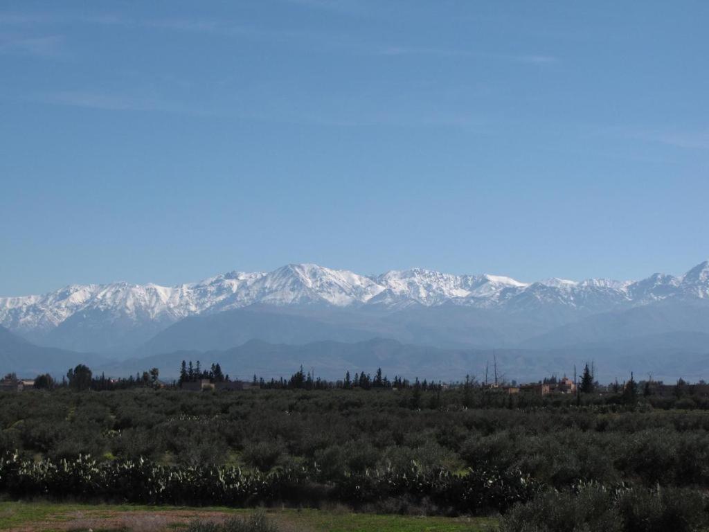 Villa Tata Marie Maison D'Hotes Marrakech Marakeş Dış mekan fotoğraf
